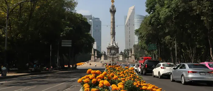 Cómo Moverse en México Durante el Mundial: Metro, Uber, Autobuses y Vuelos Entre Ciudades Sede