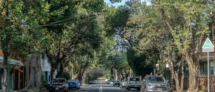 Cómo Moverse en CDMX Durante el Mundial (Uber, Metro, Tips)
